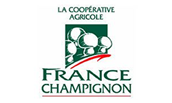 France champignon